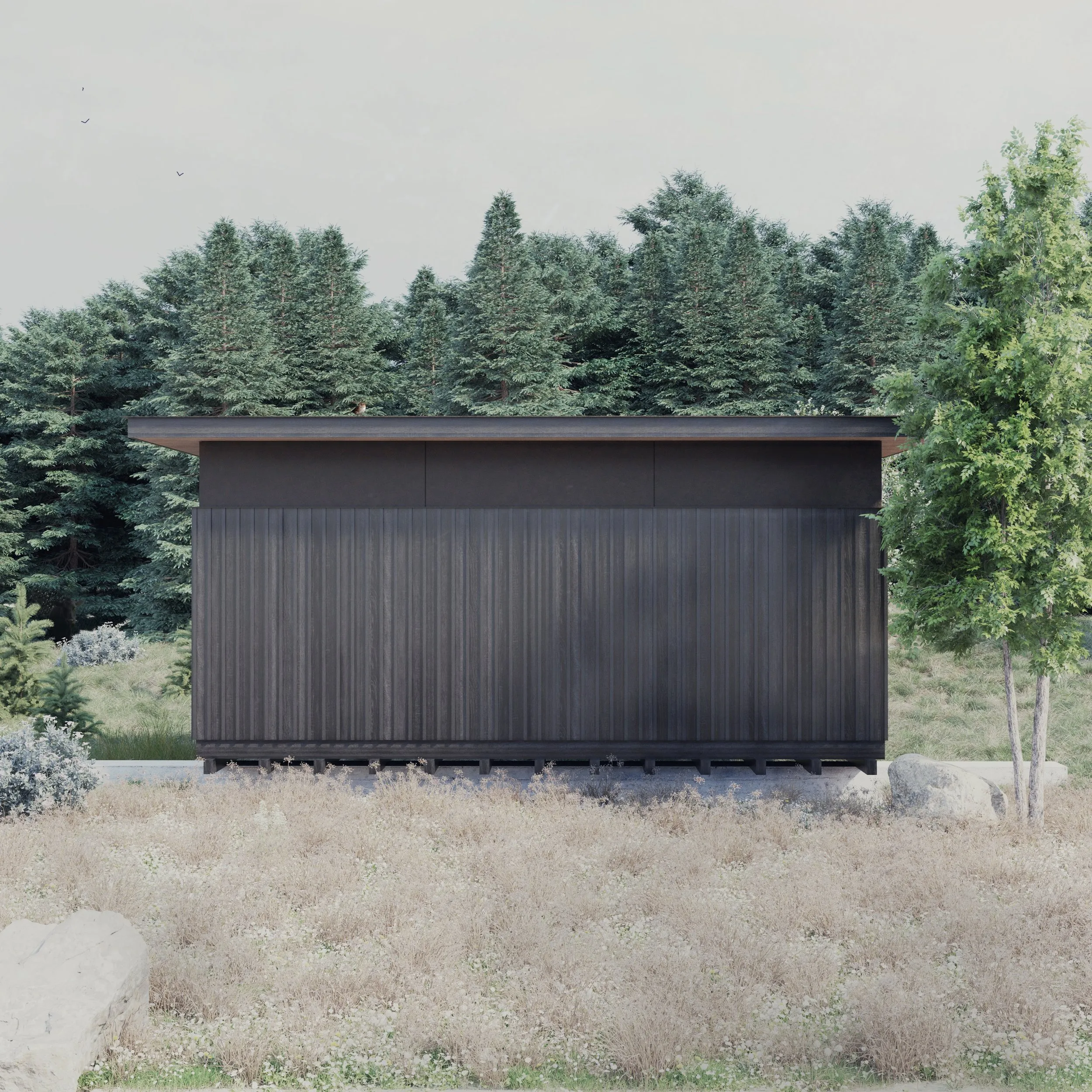 Writers Cabin — residential design by Nathan Lynch Design