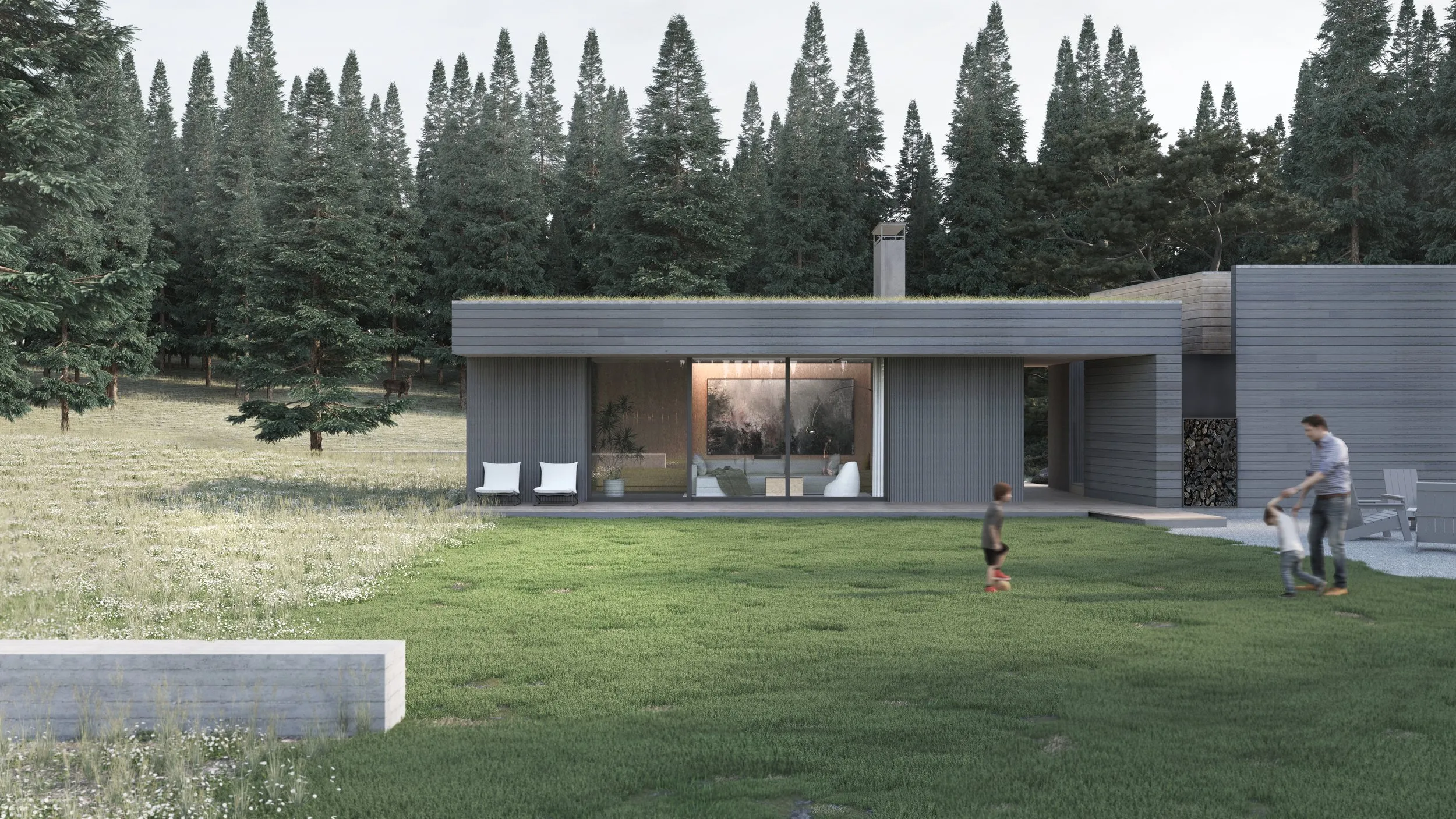 Concept Cabin I — residential design by Nathan Lynch Design